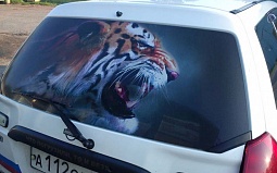 Плёнка самоклеящаяся на авто с тигром